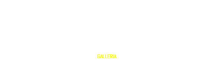 Il centro abitato di Erchie, frazione di Maiori in Costiera Amalfitana, è una frequentata località balneare molto nota per la sua tranquillità in ogni periodo dell'anno e per i lidi attrezzati situati sulla spiaggia principale. Molto belle sono le numerose spiaggette che sorgono lungo la costa soprattutto verso il vicino centro di Cetara, raggiungibili solo dal mare. Per le vostre serate ad Erchie si possono trovare alcuni ristorantini tipici e pizzerie. Da questo centro è molto facile raggiungere gli altri paesi della Costiera Amalfitana come Positano, Amalfi, Ravello, ma anche altre note località della Campania come Napoli, Sorrento, Pompei, Salerno, Paestum. Erchie è il posto ideale per trascorrere la vostra vacanza in assoluto relax, lontano dal frastuono delle moderne metropoli; la tranquillità e il silenzio vi accompagneranno per tutta la vostra permanenza, insieme alla nostra calda e amichevole accoglienza. GALLERIA