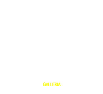 Il centro abitato di Erchie, frazione di Maiori in Costiera Amalfitana, è una frequentata località balneare molto nota per la sua tranquillità in ogni periodo dell'anno e per i lidi attrezzati situati sulla spiaggia principale. Molto belle sono le numerose spiaggette che sorgono lungo la costa soprattutto verso il vicino centro di Cetara, raggiungibili solo dal mare. Per le vostre serate ad Erchie si possono trovare alcuni ristorantini tipici e pizzerie. Da questo centro è molto facile raggiungere gli altri paesi della Costiera Amalfitana come Positano, Amalfi, Ravello, ma anche altre note località della Campania come Napoli, Sorrento, Pompei, Salerno, Paestum. Erchie è il posto ideale per trascorrere la vostra vacanza in assoluto relax, lontano dal frastuono delle moderne metropoli; la tranquillità e il silenzio vi accompagneranno per tutta la vostra permanenza, insieme alla nostra calda e amichevole accoglienza. GALLERIA